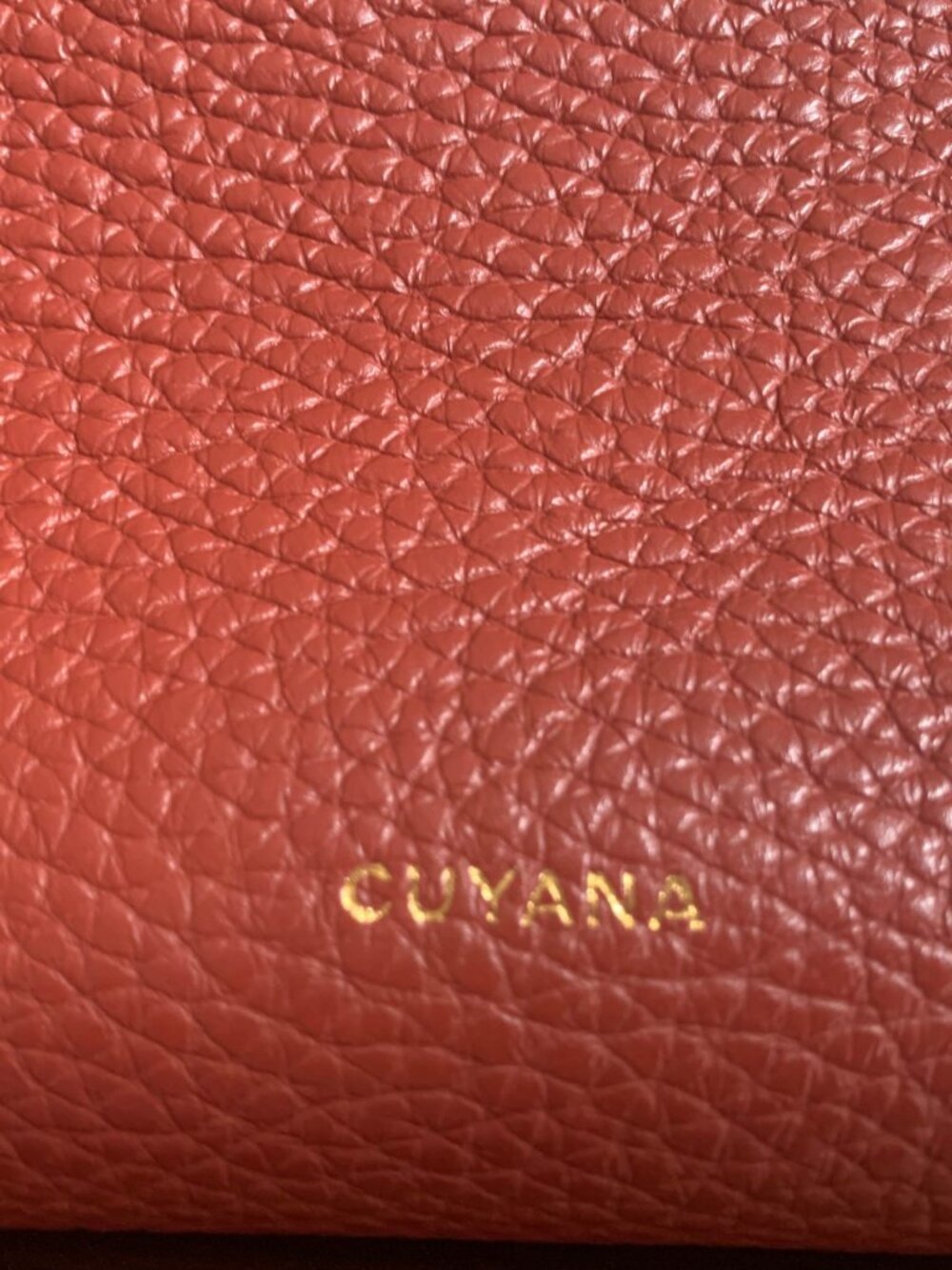 Cuyana Mini Double Loop Bag (Rust) - Picture 4 of 7
